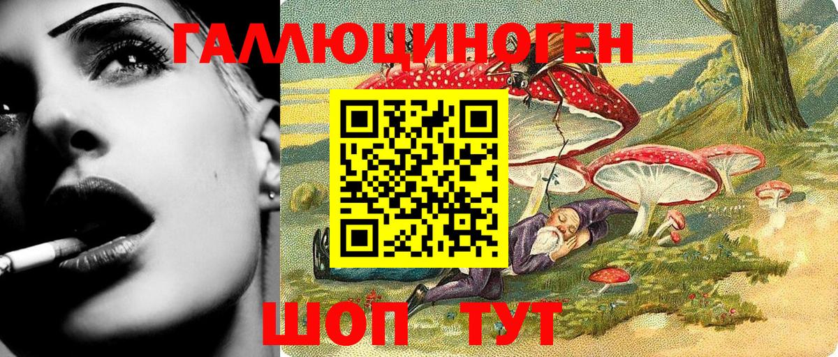 Ахтубинск  Псилоцибиновые грибы Psilocybe  Вход с VPN 