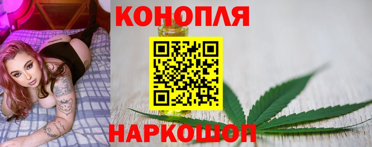 Канабис конопля Ахтубинск